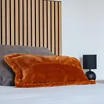 度假居 Maison Clim Jardin Parking Centre 8 Personnes 4 *