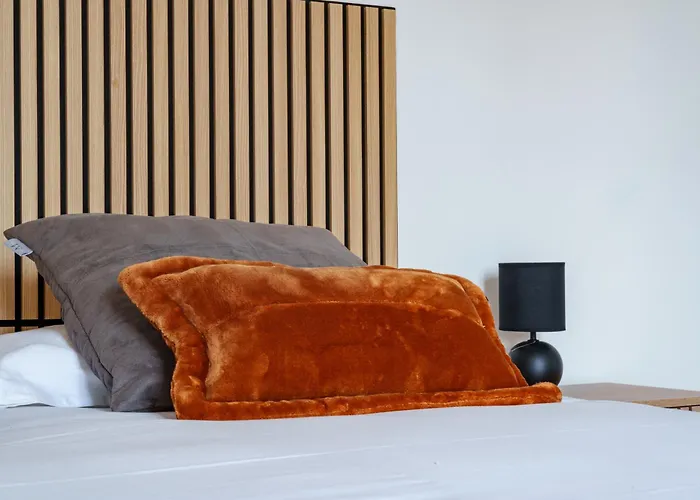 度假居 Maison Clim Jardin Centre 8 Personnes 4 *